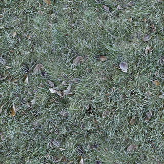 Texture of /terrain/frost-terrain/frost-terrain_0007_04_S