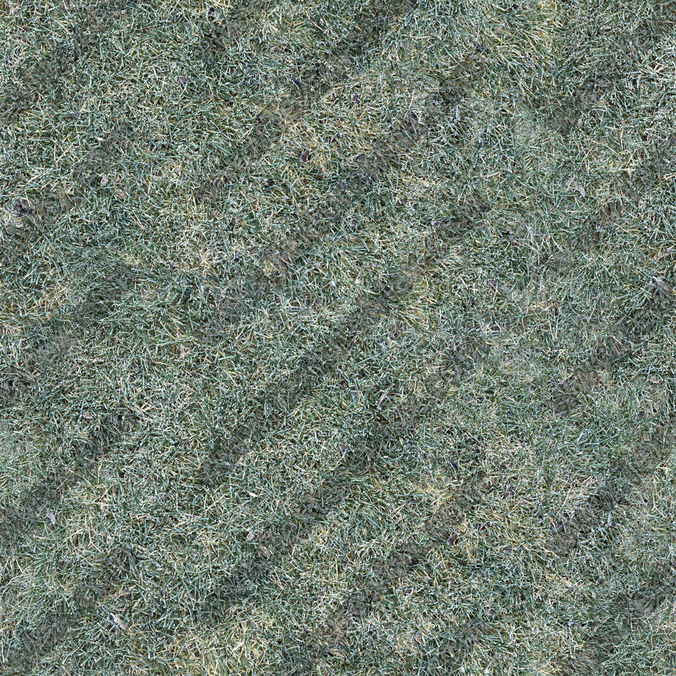 Texture of /terrain/frost-terrain/frost-terrain_0009_01_S