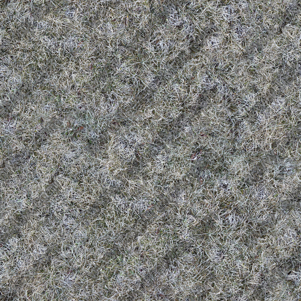 Texture of /terrain/frost-terrain/frost-terrain_0010_01_S