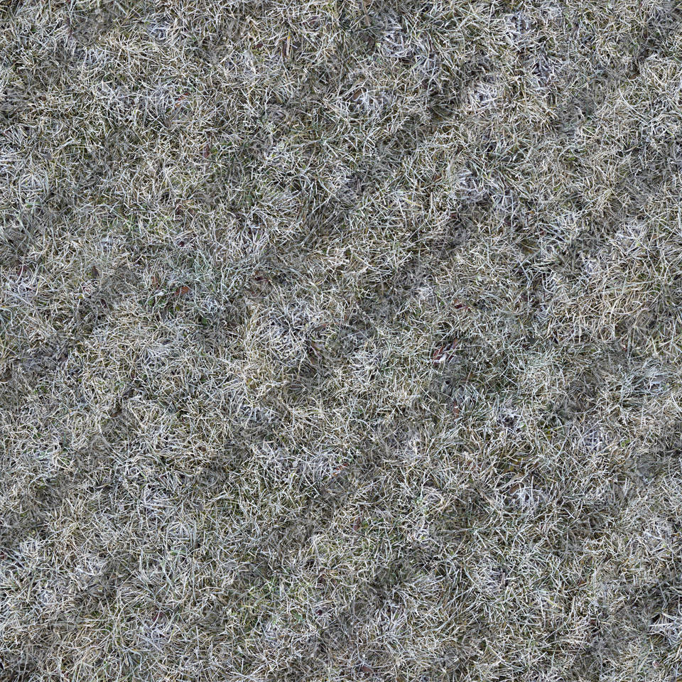 Texture of /terrain/frost-terrain/frost-terrain_0010_01_S