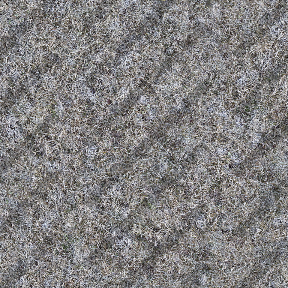 Texture of /terrain/frost-terrain/frost-terrain_0010_03_S