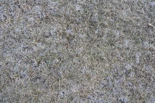 Texture of /terrain/frost-terrain/frost-terrain_0010_04