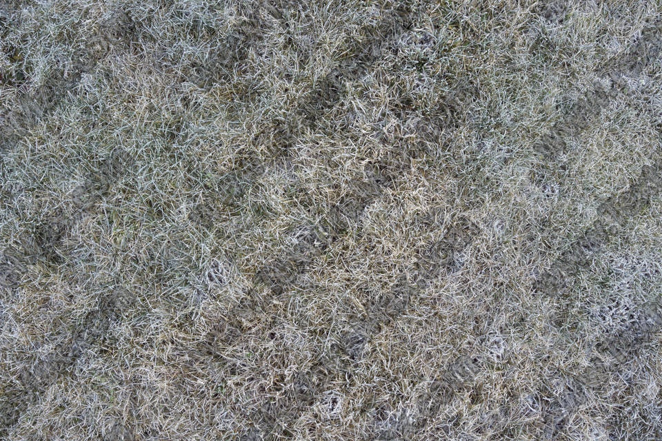 Texture of /terrain/frost-terrain/frost-terrain_0010_06