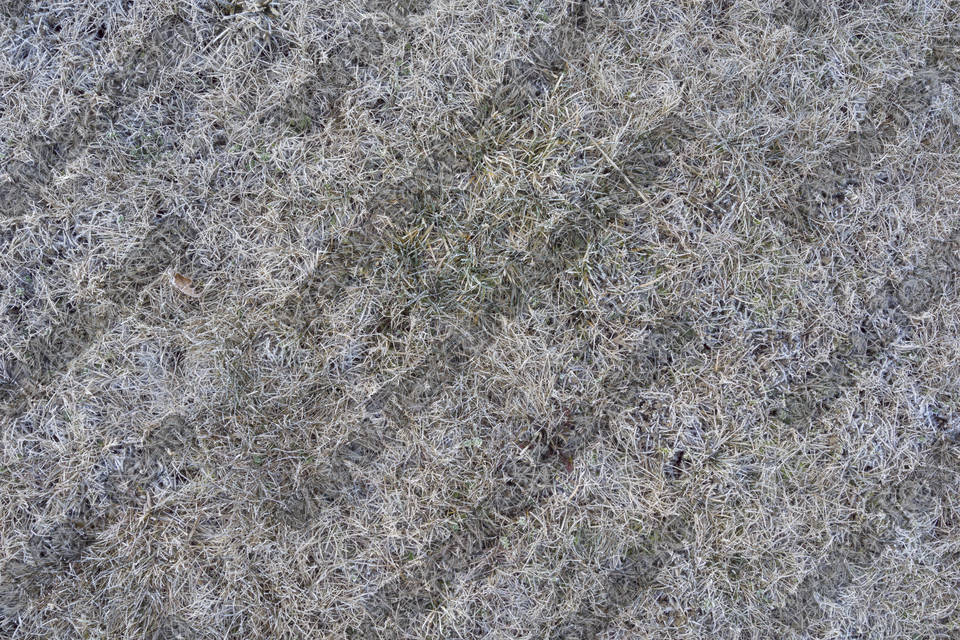 Texture of /terrain/frost-terrain/frost-terrain_0010_09