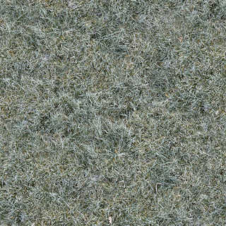 Texture of /terrain/frost-terrain/frost-terrain_0011_01_S