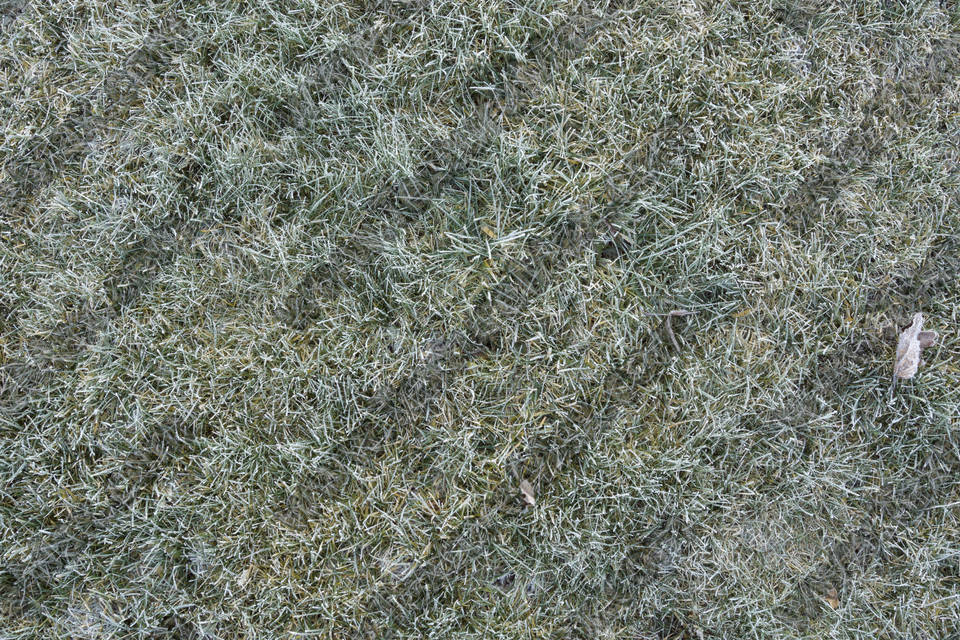 Texture of /terrain/frost-terrain/frost-terrain_0011_01