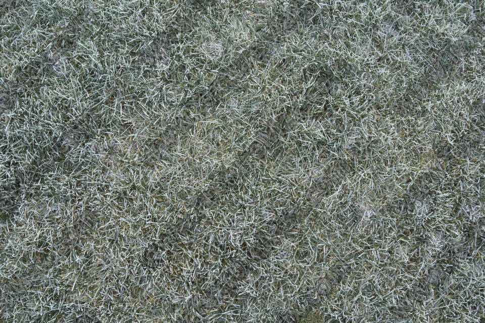 Texture of /terrain/frost-terrain/frost-terrain_0011_02