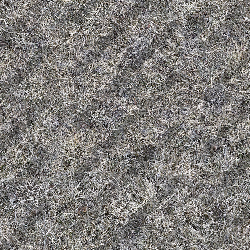 Texture of /terrain/frost-terrain/frost-terrain_0012_01_S