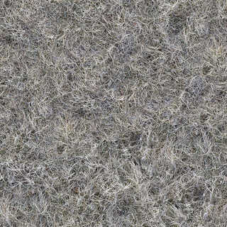 Texture of /terrain/frost-terrain/frost-terrain_0012_01_S