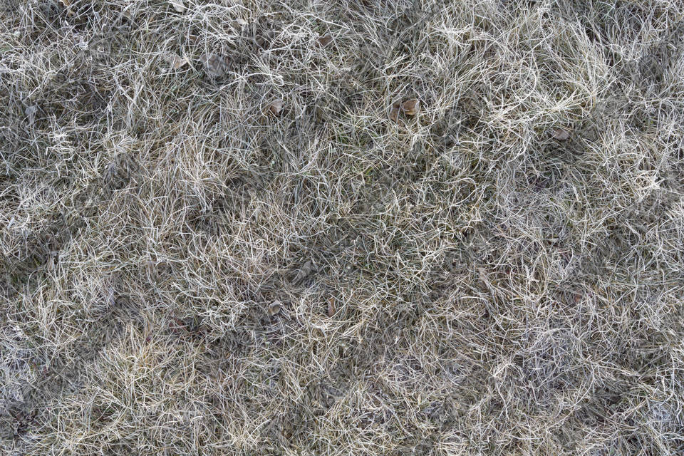 Texture of /terrain/frost-terrain/frost-terrain_0012_01