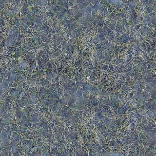 Texture of /terrain/frost-terrain/frost-terrain_0013_01_S