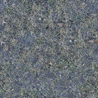 Texture of /terrain/frost-terrain/frost-terrain_0013_02_S