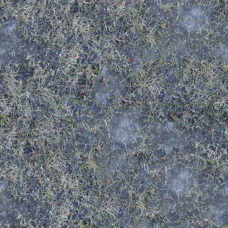 Texture of /terrain/frost-terrain/frost-terrain_0013_03_S