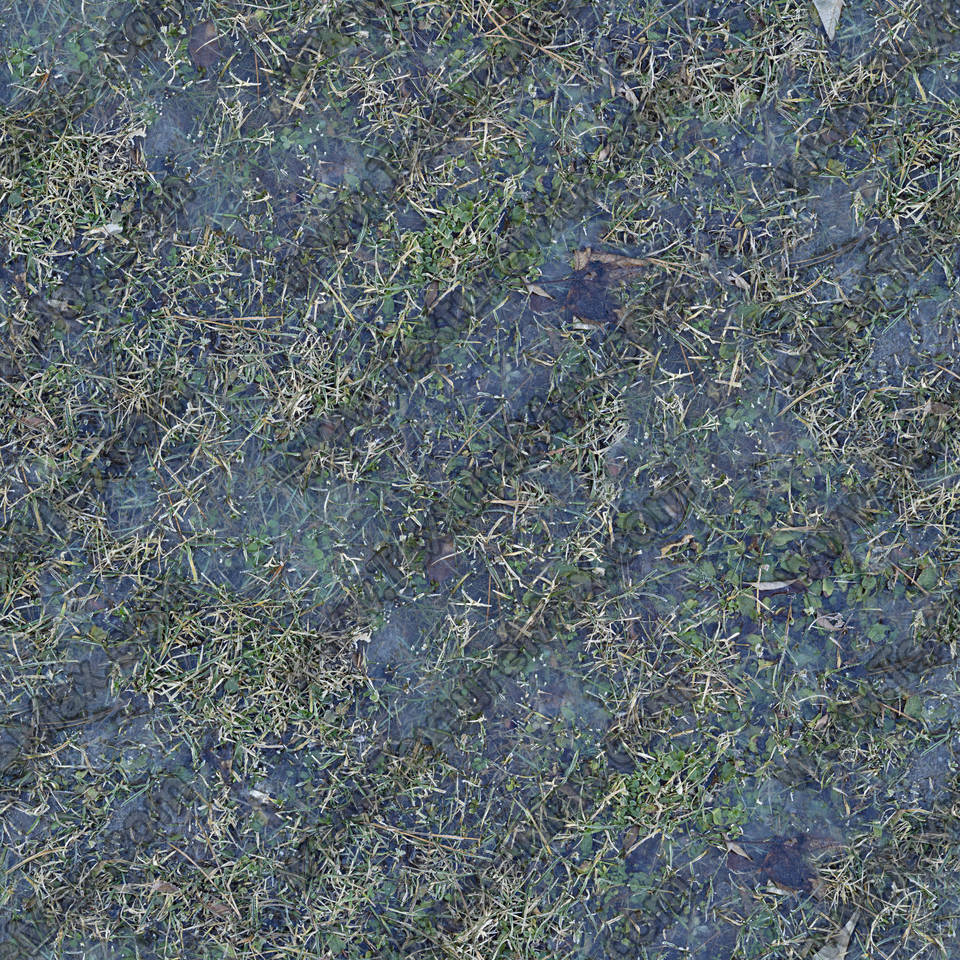 Texture of /terrain/frost-terrain/frost-terrain_0013_04_S