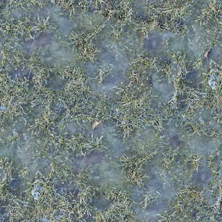 Texture of /terrain/frost-terrain/frost-terrain_0015_06_S