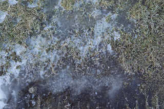 Texture of /terrain/frost-terrain/frost-terrain_0016_02