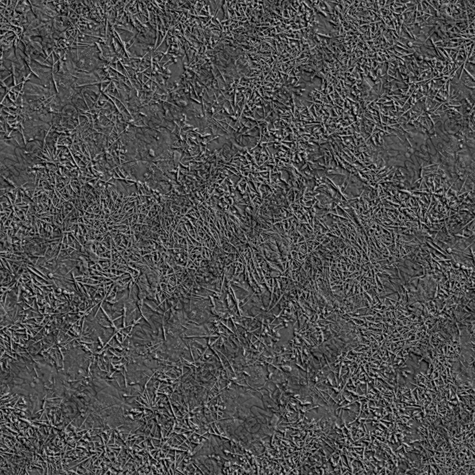 Texture of /terrain/frost-terrain/frost-terrain_0017_01_S_SPEC