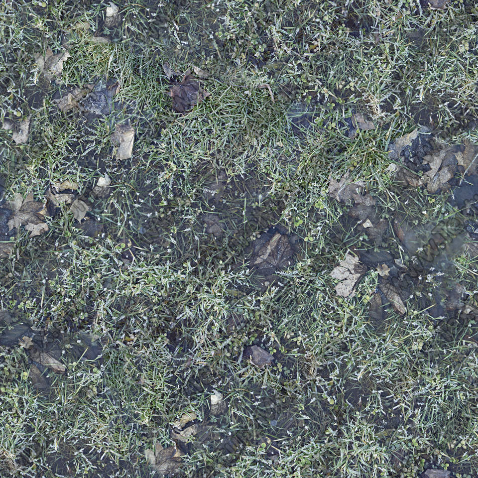 Texture of /terrain/frost-terrain/frost-terrain_0017_02_S