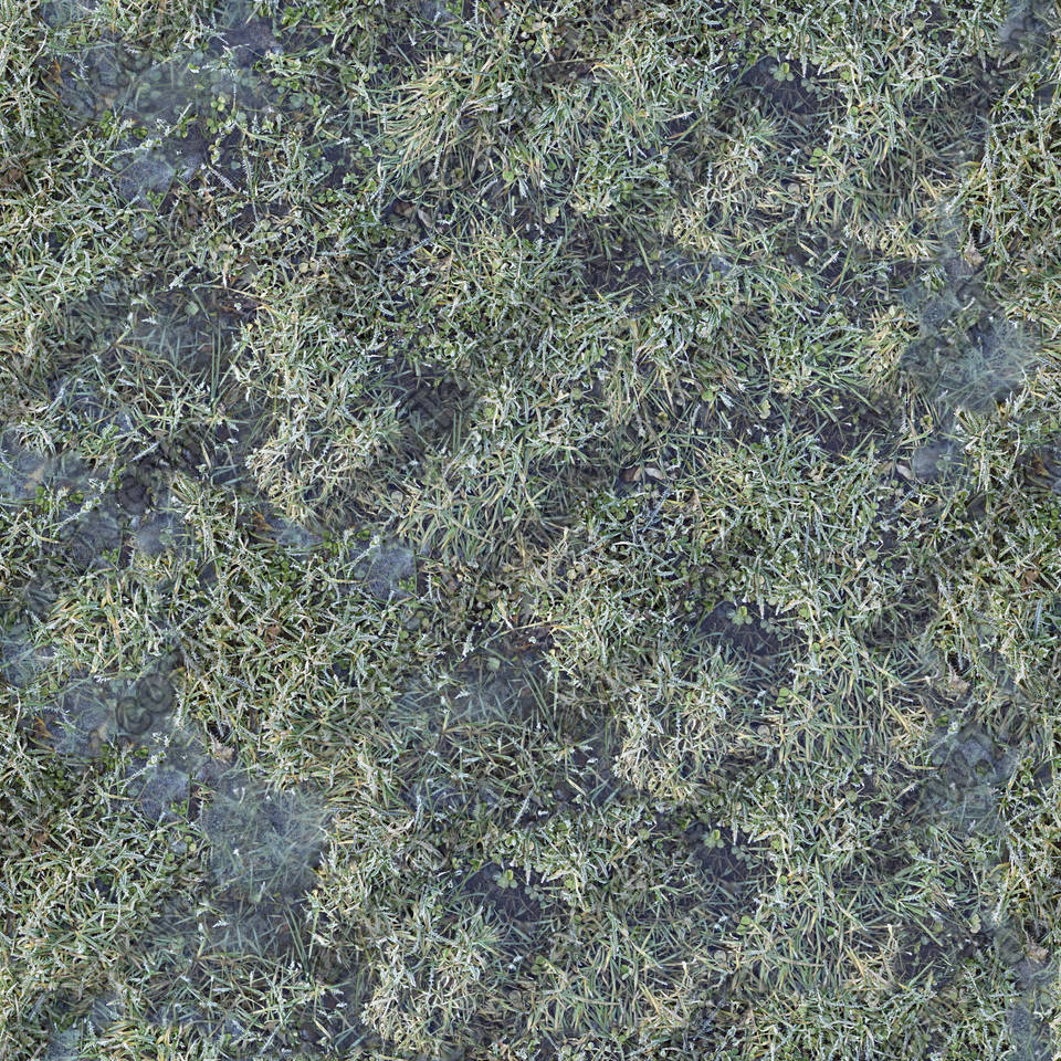 Texture of /terrain/frost-terrain/frost-terrain_0017_03_S