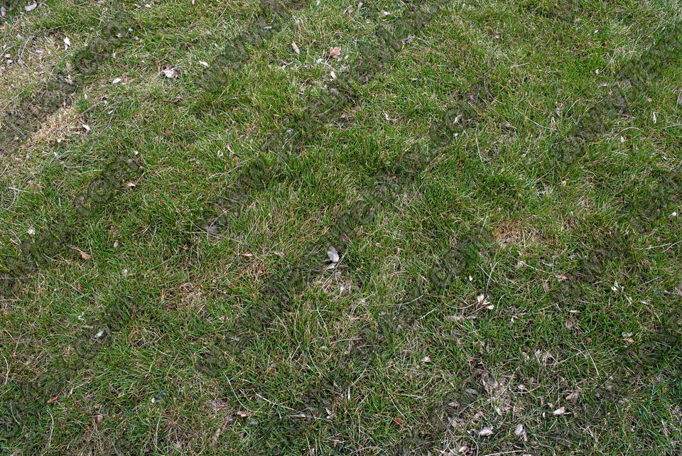 Texture of /terrain/grass-and-straw-terrain/grass-and-straw-terrain_0010_01