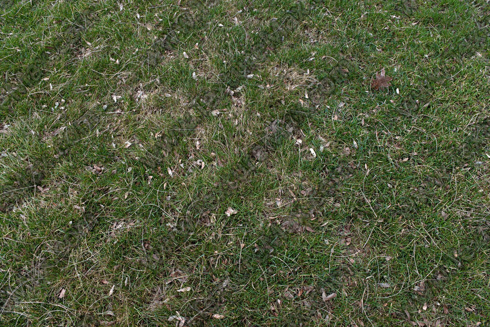 Texture of /terrain/grass-and-straw-terrain/grass-and-straw-terrain_0010_02