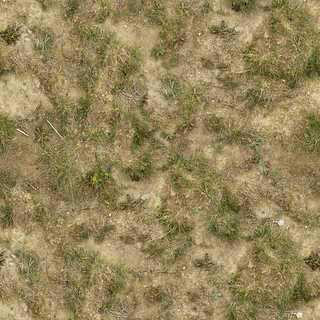 Texture of /terrain/grass-and-straw-terrain/grass-and-straw-terrain_0035_01_S