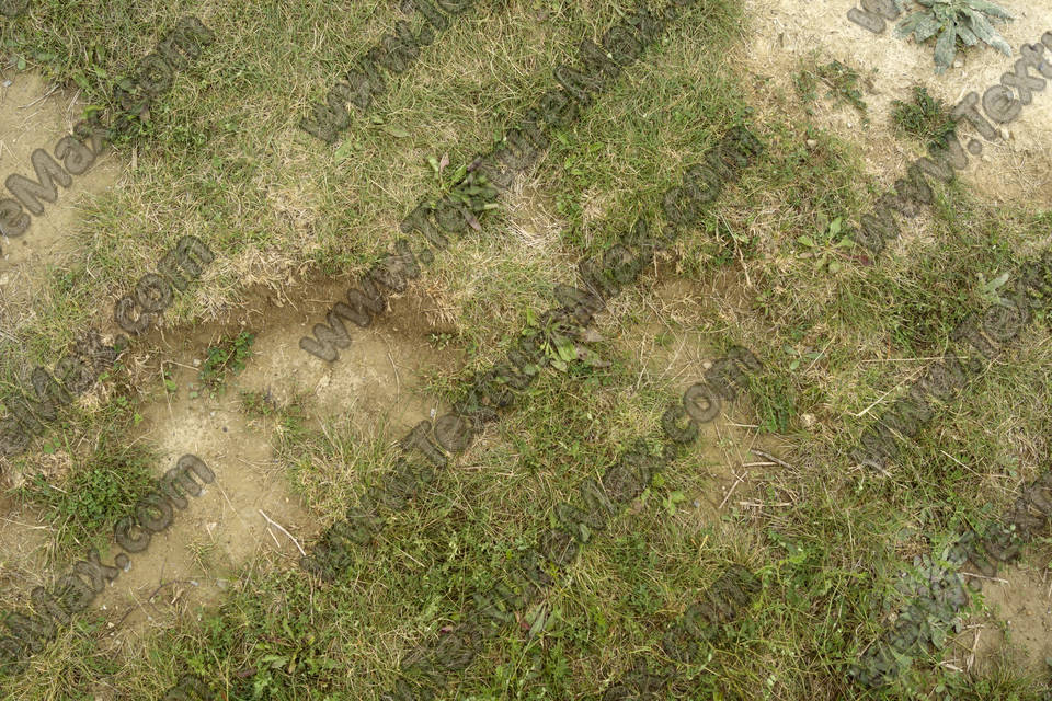 Texture of /terrain/grass-and-straw-terrain/grass-and-straw-terrain_0035_02