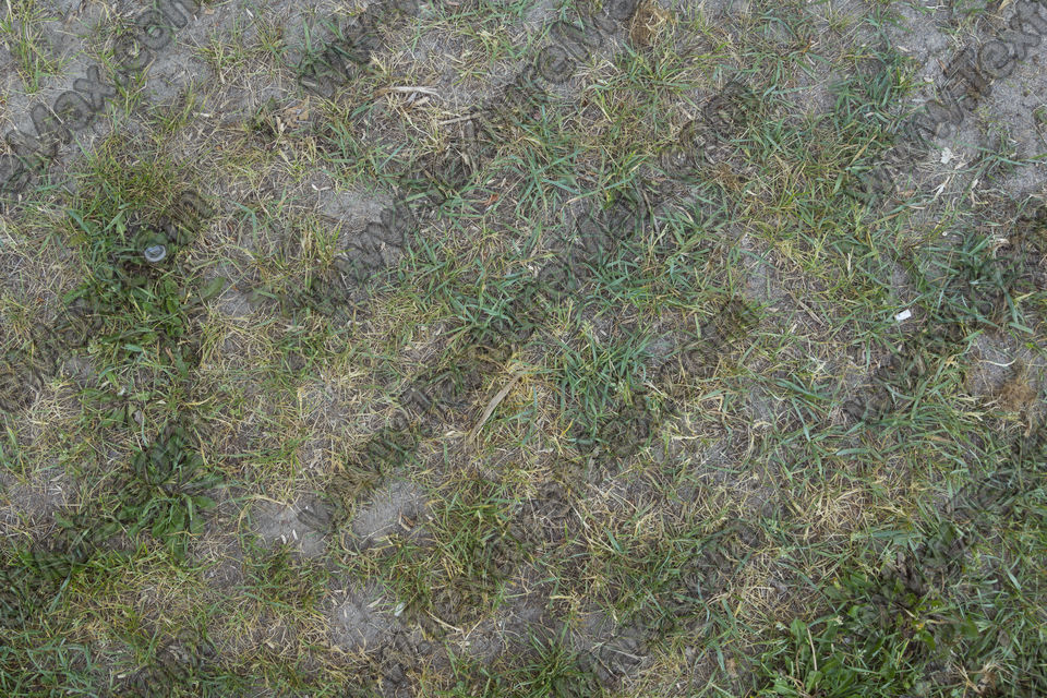 Texture of /terrain/grass-and-straw-terrain/grass-and-straw-terrain_0078_01