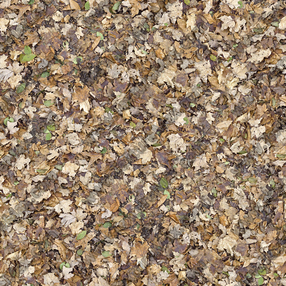 Texture of /terrain/leaf-terrain/leaf-terrain_0021_01_S