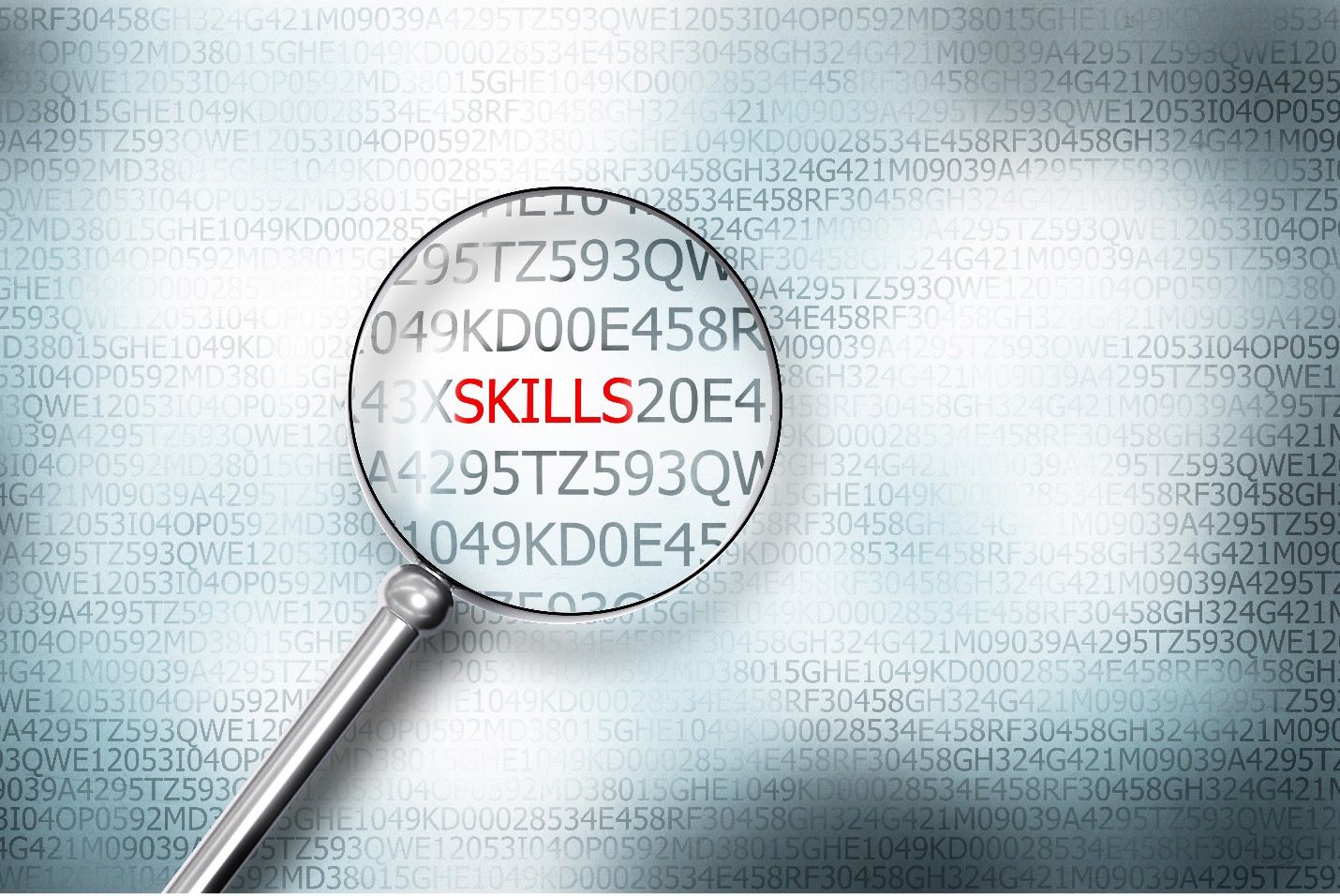 Top 10 Essential Skills for Aspiring Data Experts