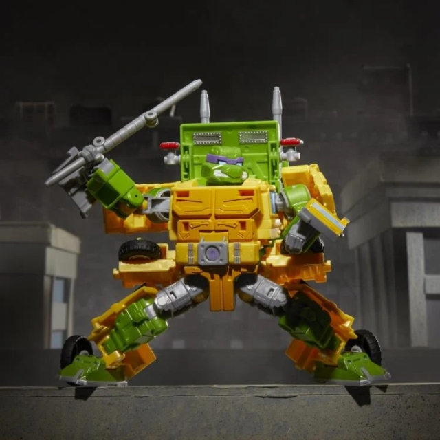 Donatello, Michaelangelo, Raphael, Leonardo | Teenage Mutant