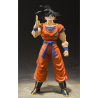 Goku A Saiyan Raised On Earth S.H. Figuarts | Bandai Tamashii Nations | Dragon Ball Z