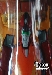 MEGA SCF - Hot Rodimus - MISB
