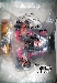 Botcon 2010 - Doublepunch with Scorch and Ravage  - MISB