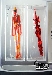 Transformers Super Link - Lucky Draw Red Fire Kicker - AFA 85