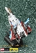 iGear - PP03J - Seeker Jet