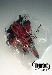 Botcon - Botcon 2007 Bagged Set - MIB - 100% Complete