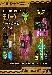 Beast Saga - BS-10 Morick Bat