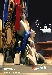 DOTM - Calibre - Optimus Prime Statue - 20 inch tall - Limited Edition of 500 Pieces