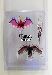 X2 Toys - Powerbat and Powerbeak Set