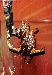 SDCC 2009 Exclusive Soundwave 25th Anniversary Special Edition