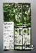 Transformers Generations 2009 Volume 03 - Exclusive Skids & Screech Set
