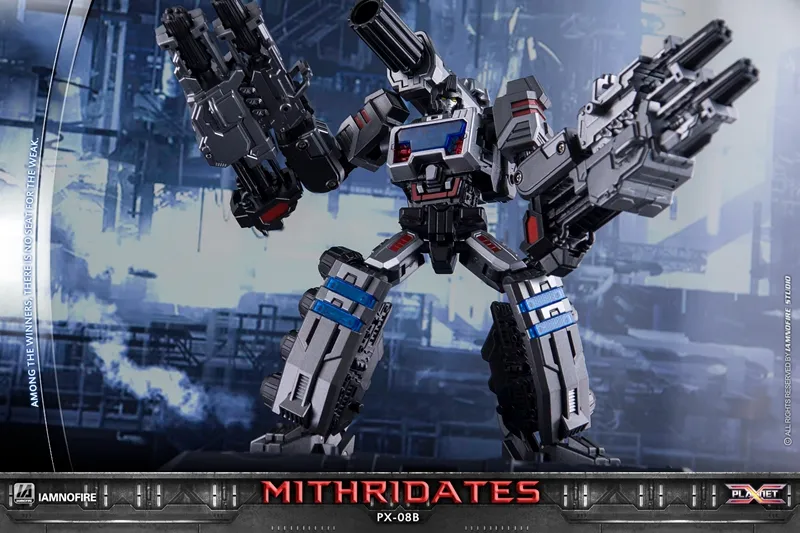 パキプス 0Z9A0734.jpg?v=1733979580&