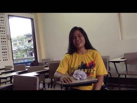 video_5bf49b4644a25