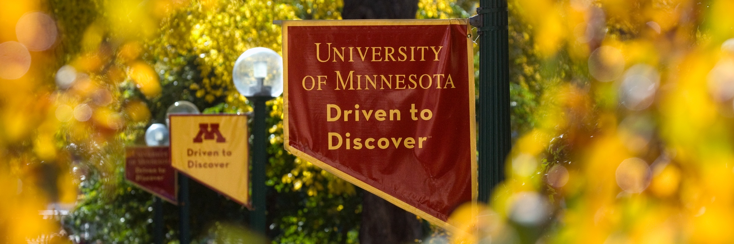 Transferology for University of Minnesota Twin Cities Transferology