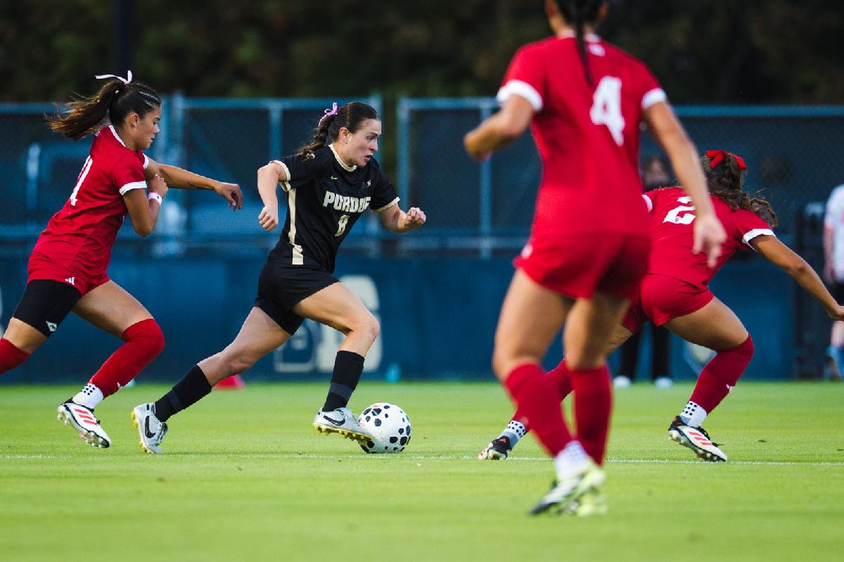 WhatsApp Image 2025-11-19 at 10