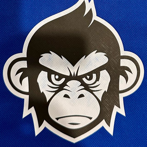 ICT.Maybanke Monkeys