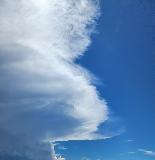 edmerclay+tps1@gmail.com