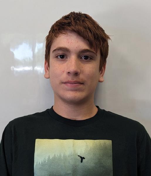 amandawammock@gmail.com