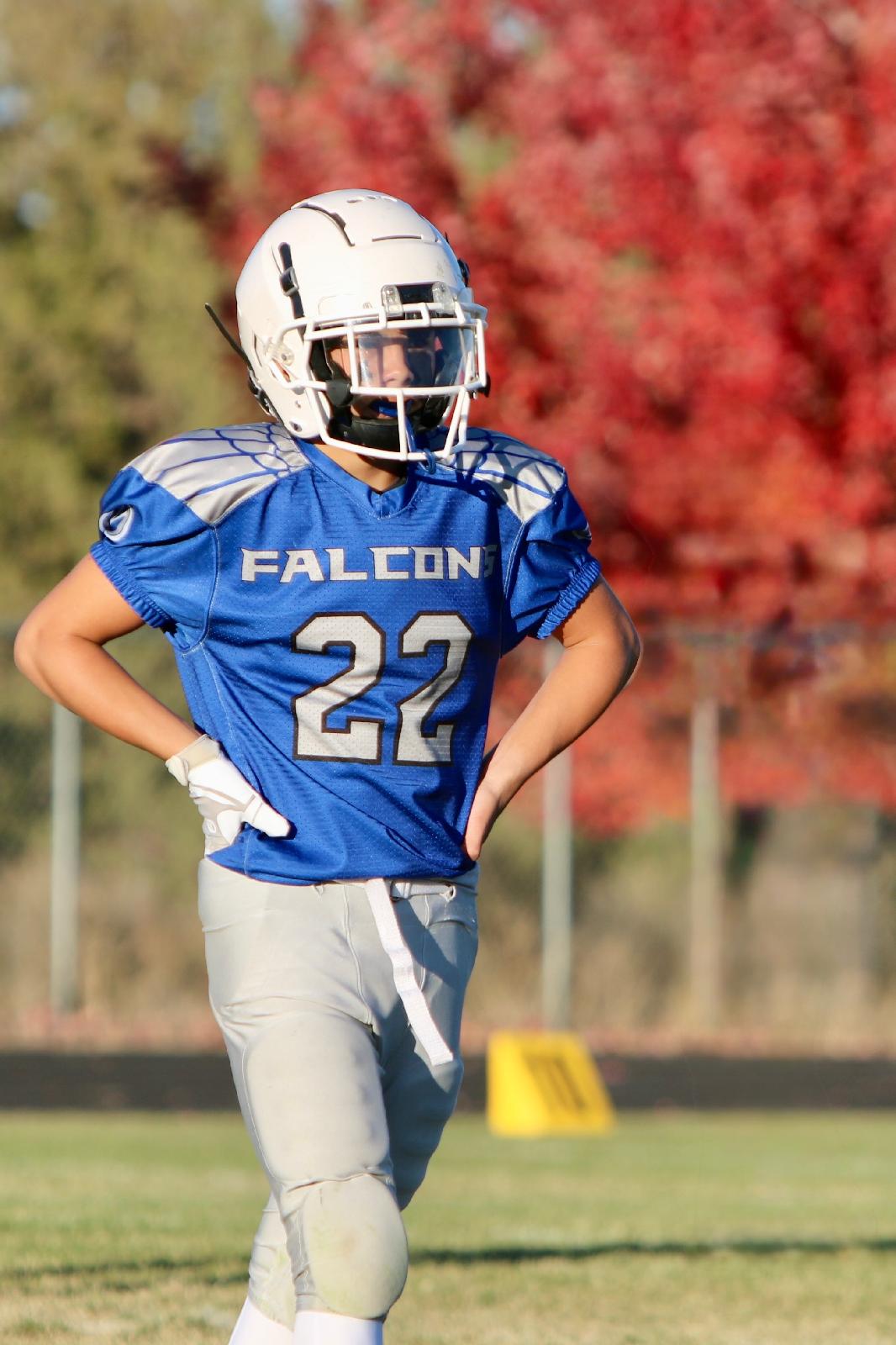 aliciamaysu@gmail.com